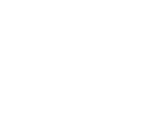 VENREZ WHITE LOGO